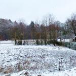 © KI Grundstück Forchheim