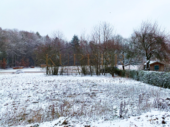 © KI Grundstück Forchheim