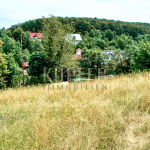 © KI Baugrund Unterleinleiter