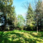 © KI Grundstück Heroldsbach