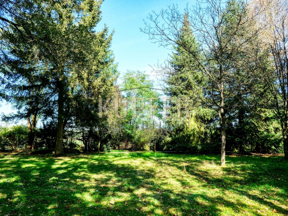 © KI Grundstück Heroldsbach