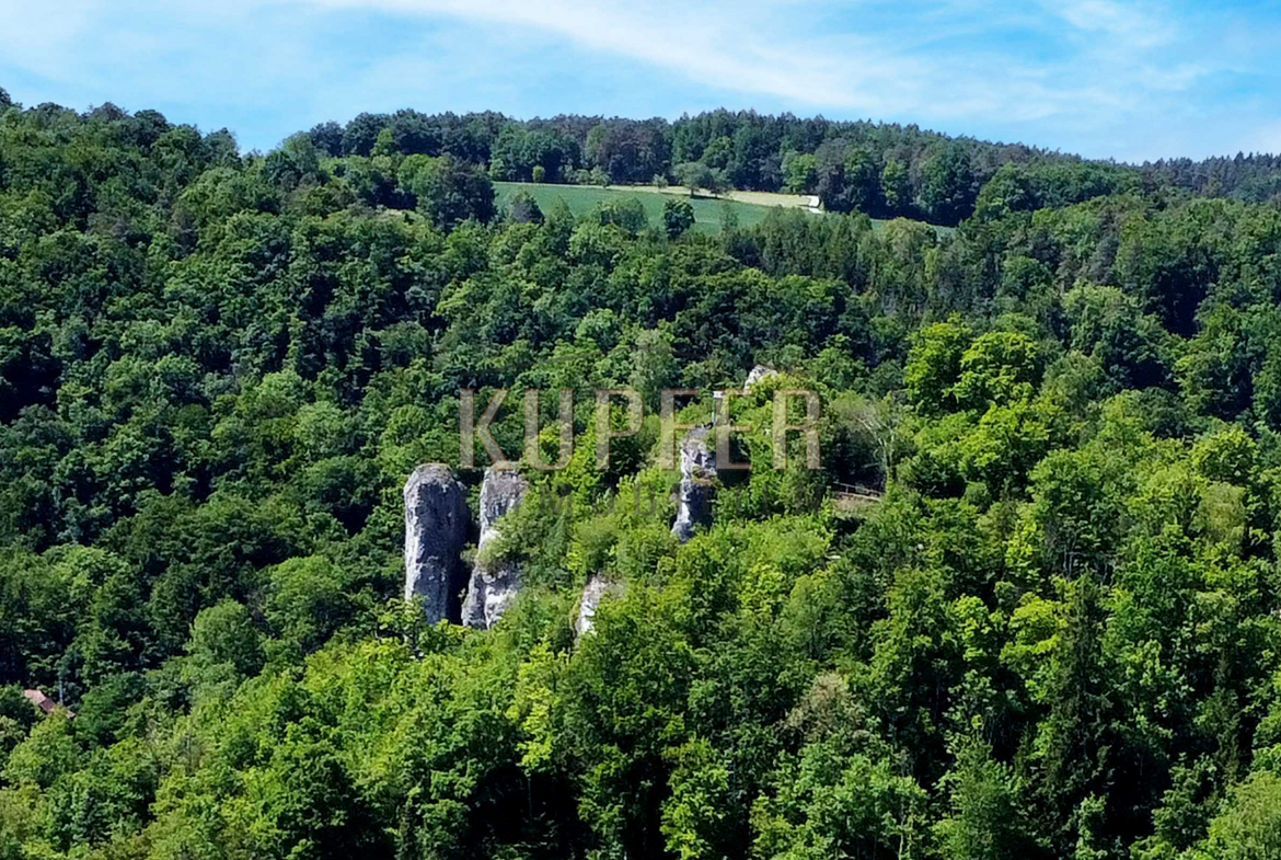 © KI Grundstück Wiesenttal