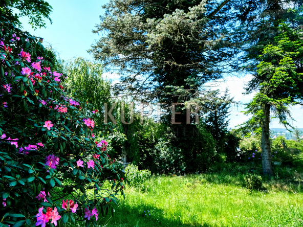 © KI Villa Forchheim