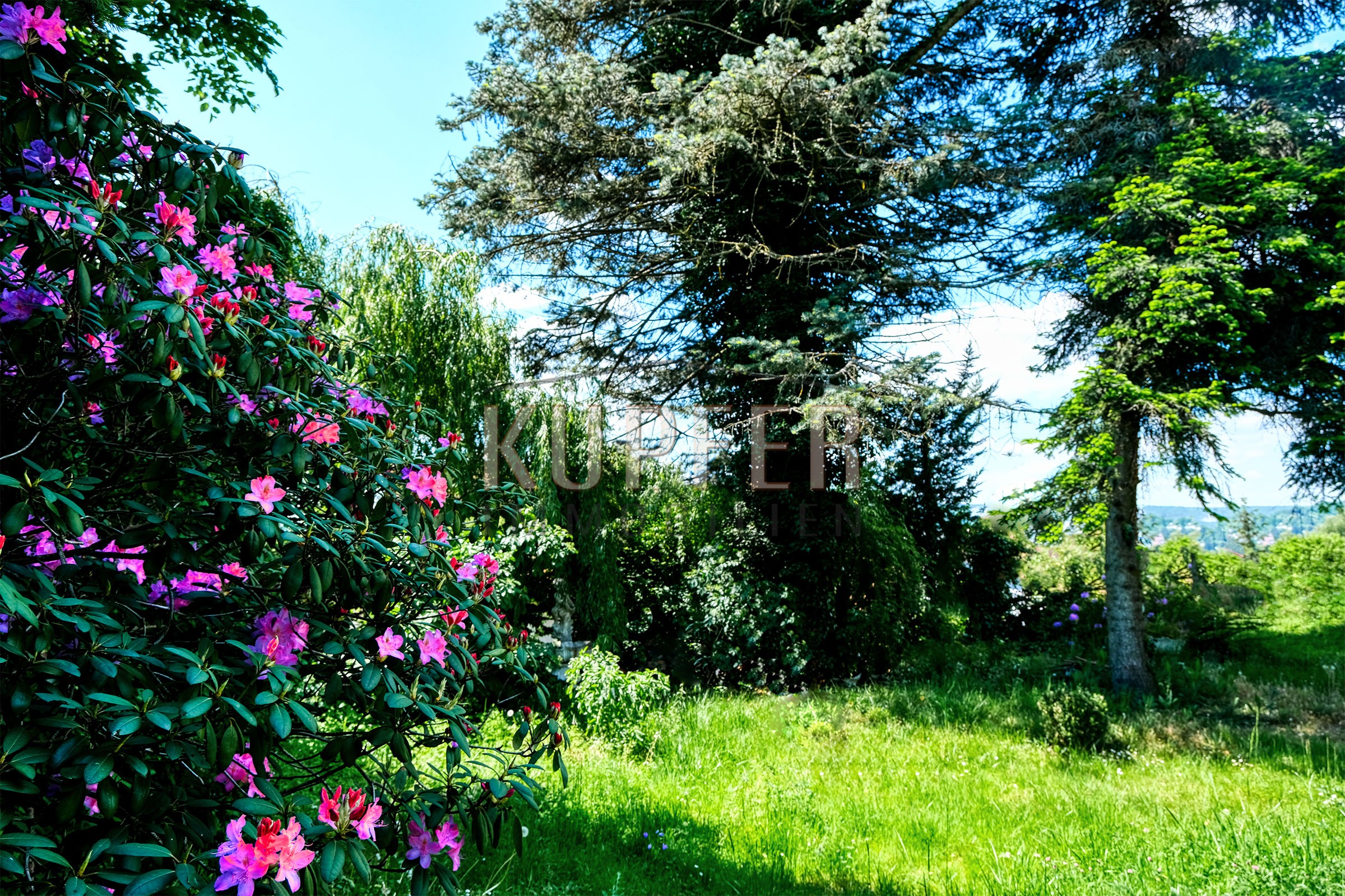 © KI Villa Forchheim