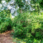 IFS-br-hu-gs-1-rot30-gr30