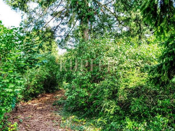 IFS-br-hu-gs-1-rot30-gr30