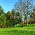 © KI Baugrund Forchheim