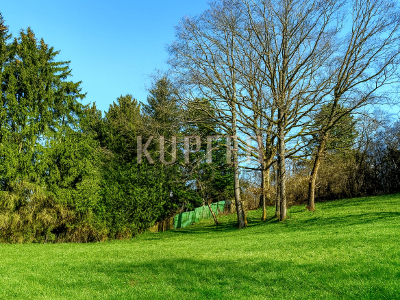 © KI Baugrund Forchheim