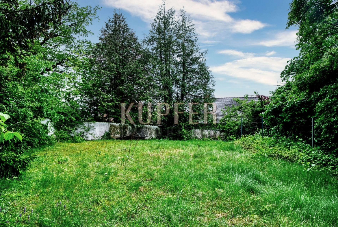 © KU Grundstück Altdorf