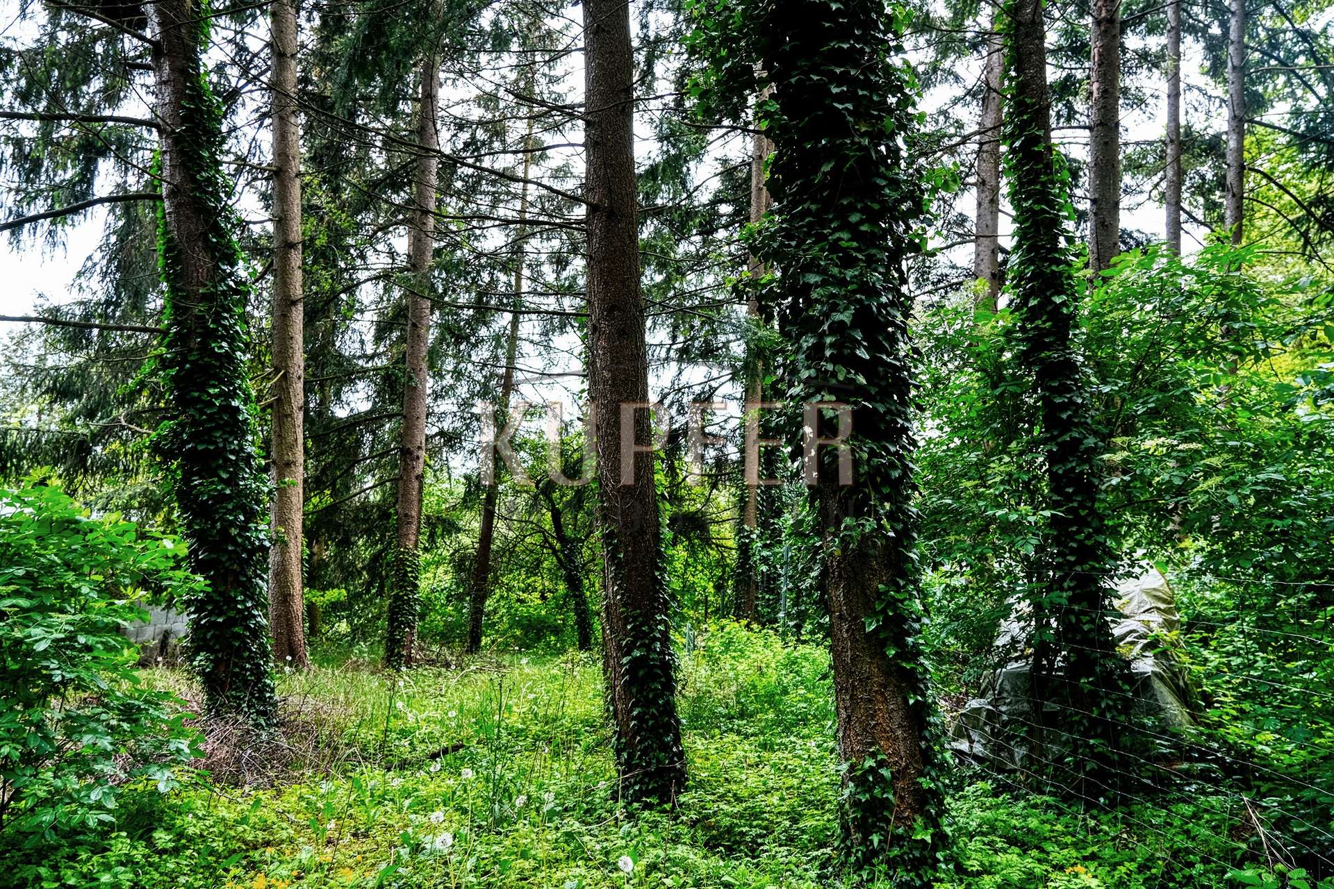 © KU Grundstück Altdorf