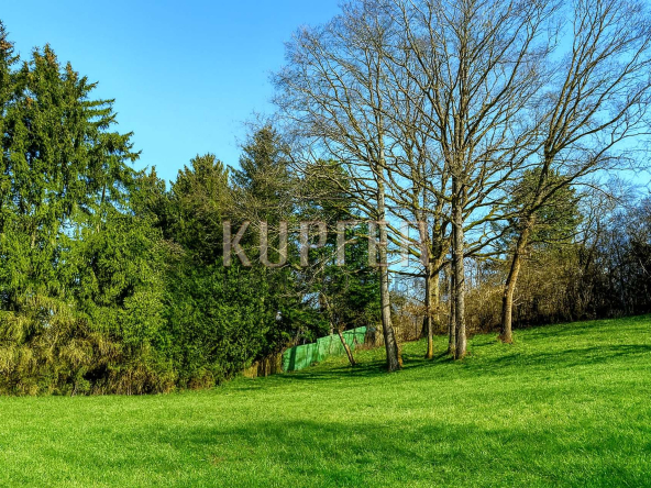 © KU Grundstück Forchheim